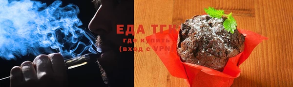 индика Аркадак