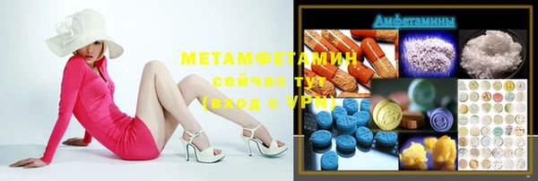 индика Аркадак