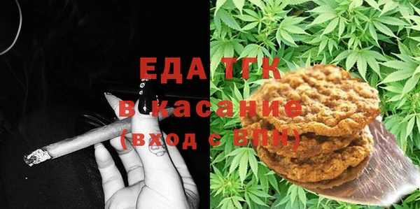 индика Аркадак