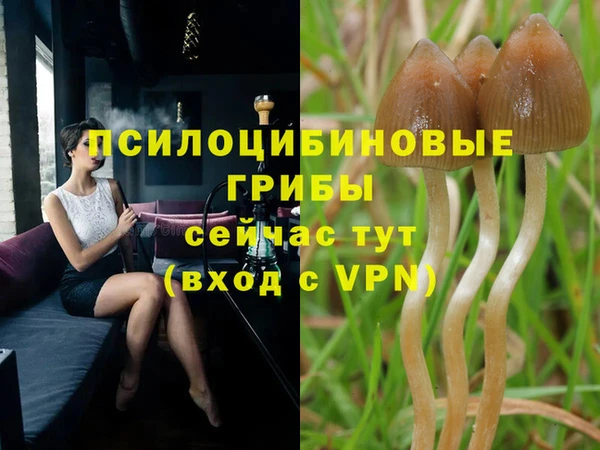 МДПВ Алексин