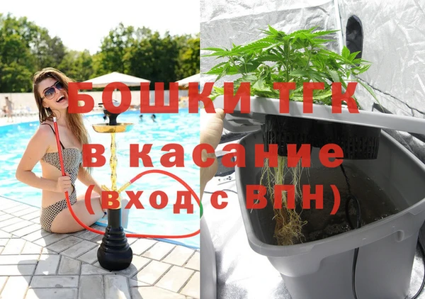 индика Аркадак