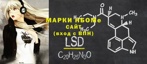 индика Аркадак