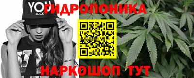 jwh Гай