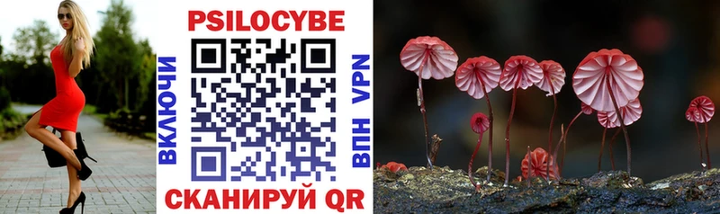 нарко площадка клад  Ставрополь  Псилоцибиновые грибы Psilocybine cubensis 